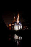 Cinderella's Castle - "Wishes"